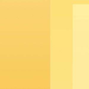 Meet your Posher, Tedra